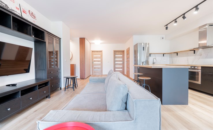 mieszkanie na sprzedaż - Łódź, Śródmieście, Milionowa